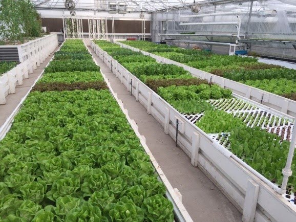 Micro-farming